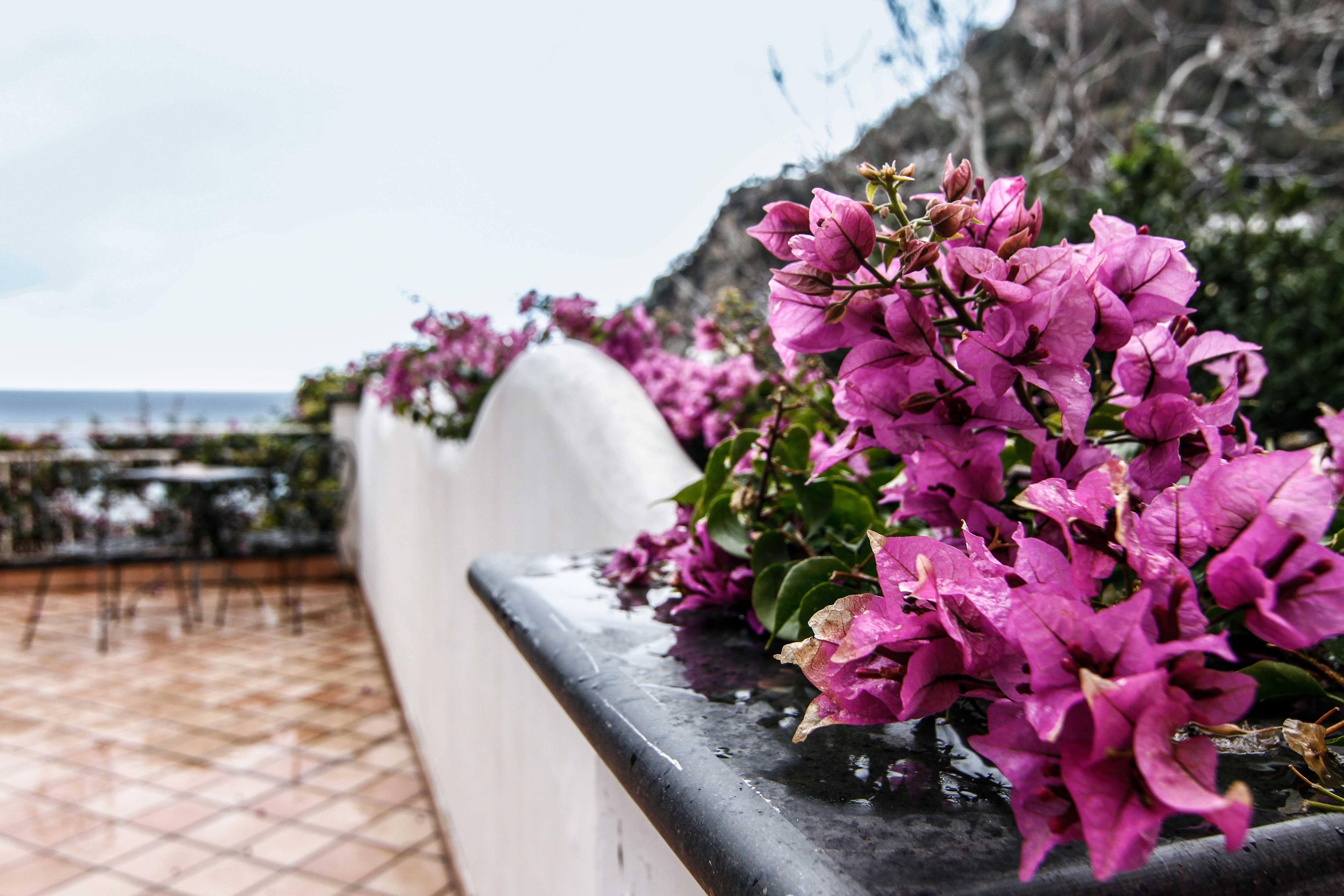Art Pasitea Positano